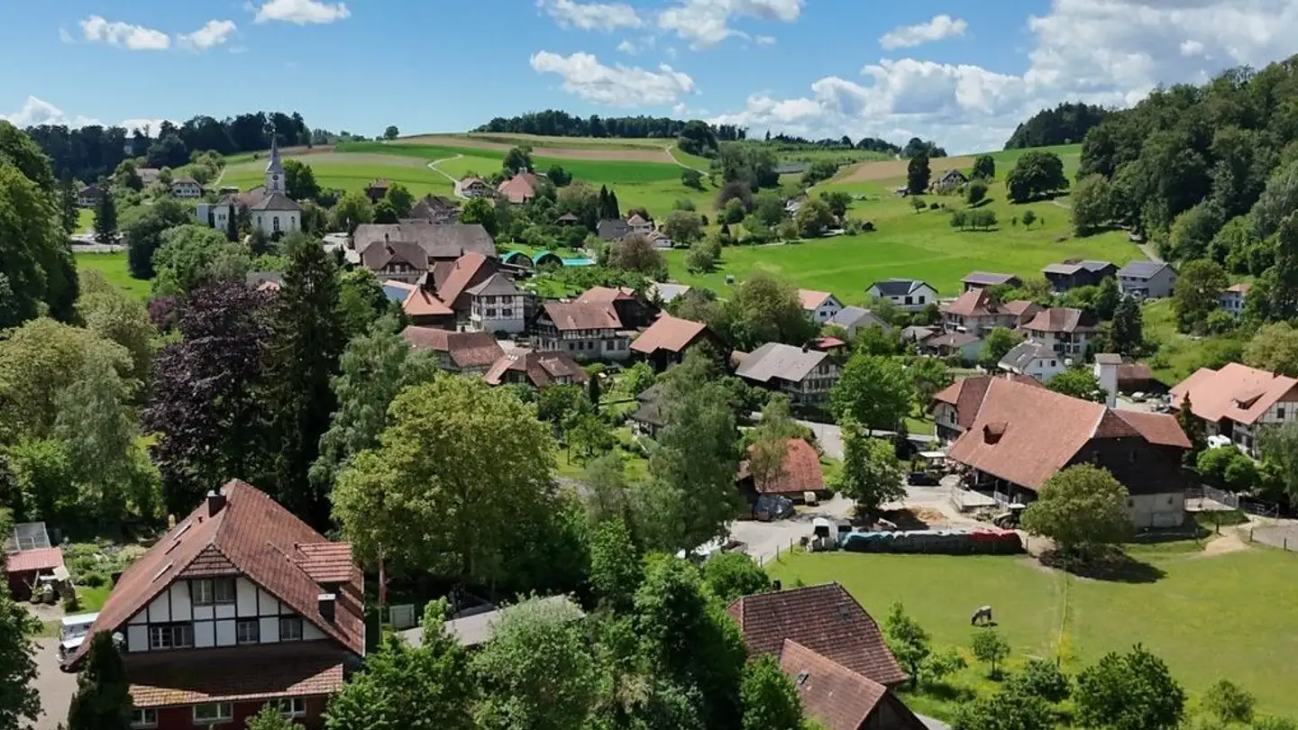 Einfamilienhaus kaufen - 4583 Mühledorf SO - Foto 4