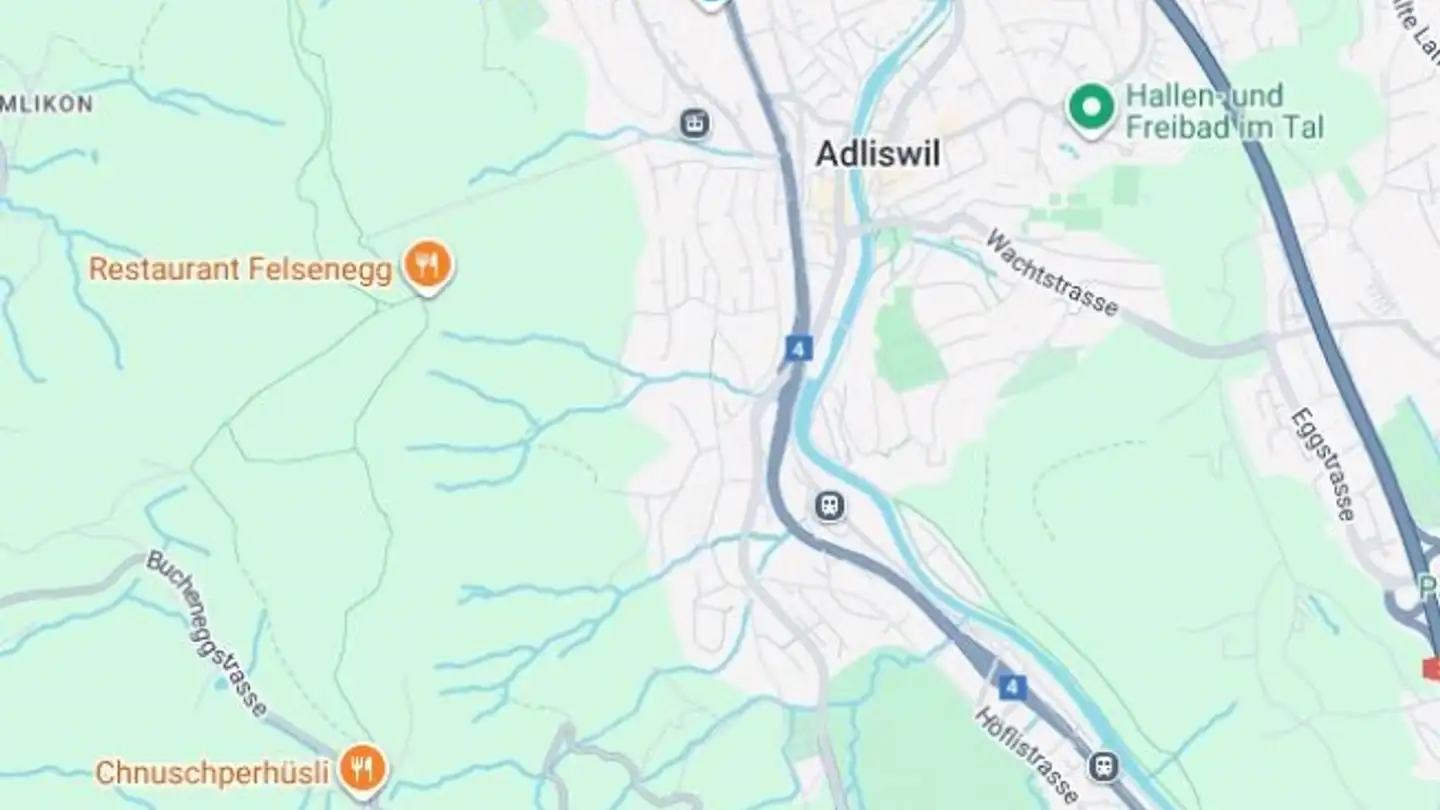 Appartamento in affitto - 8134 Adliswil