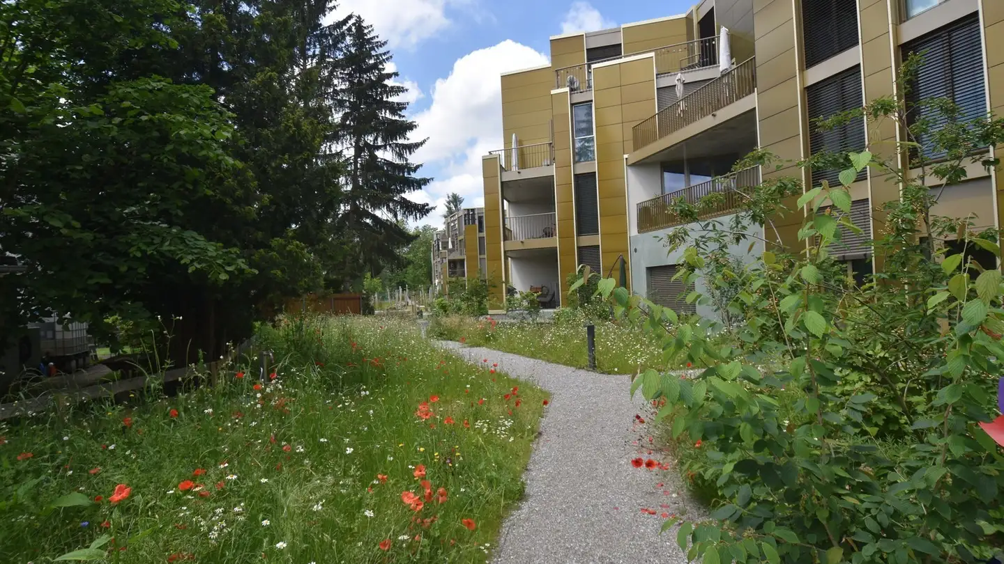 Apartment for rent - Limmatstrasse 10, 8952 Schlieren