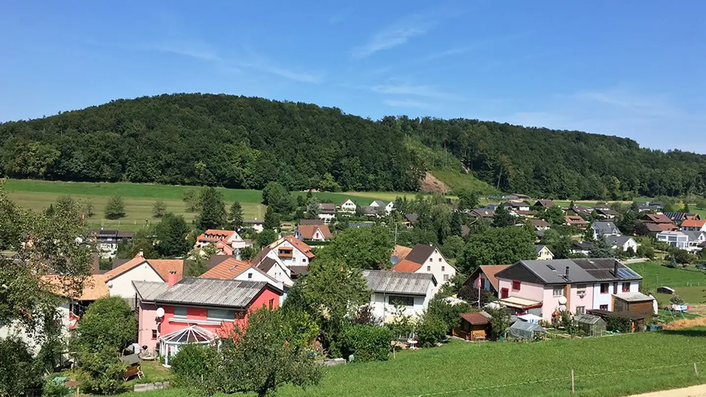 Einfamilienhaus kaufen - 4422 Arisdorf