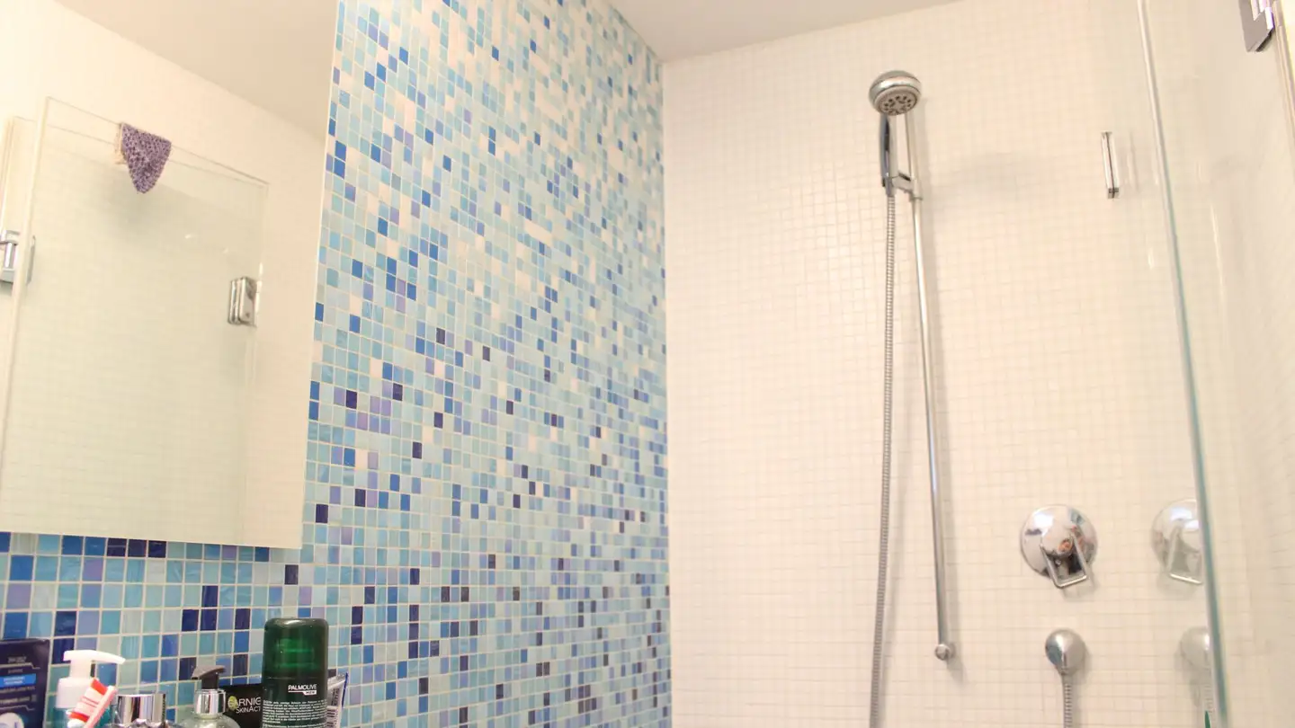 Appartamento in affitto - Baselstrasse, 4147 Aesch BL - Foto 4