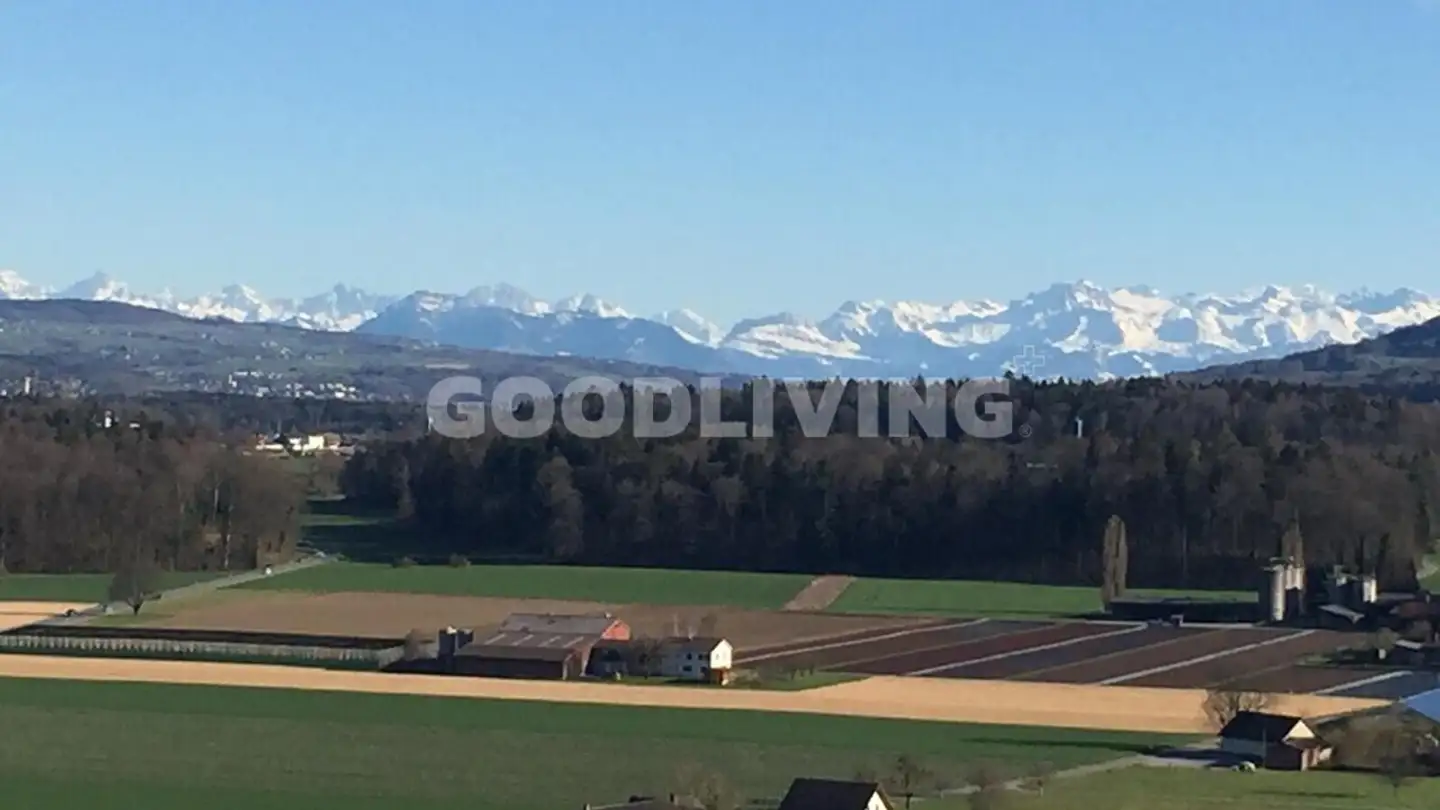 Wohnung kaufen - Rebenweg 12, 5503 Schafisheim - Foto 2