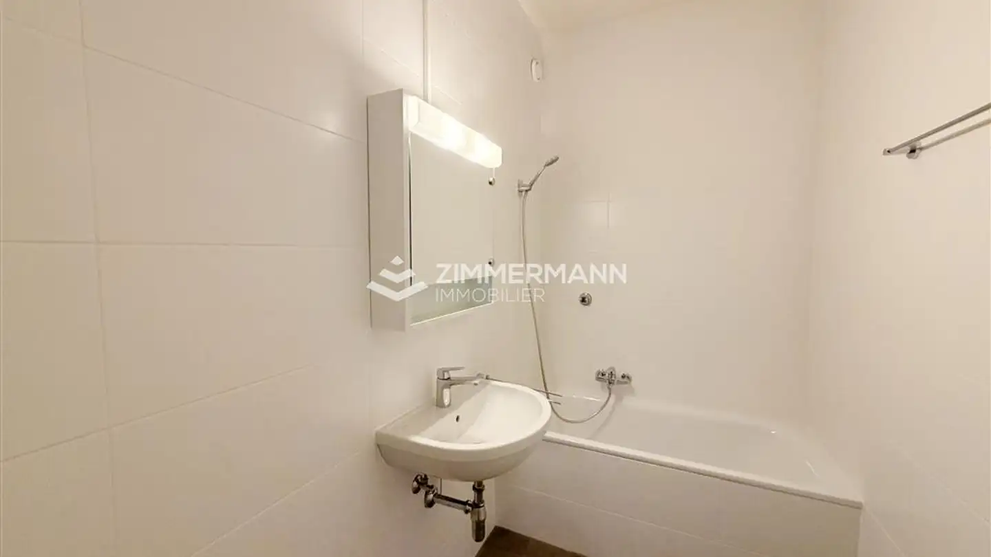Apartment for rent - Rue Tronchin, 1202 Genève - Photo 4