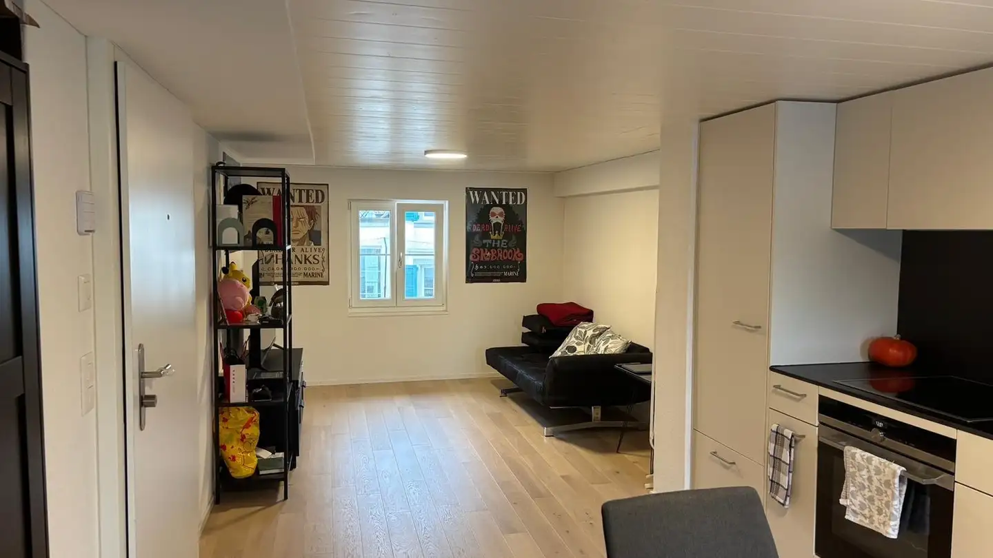 Appartement à louer - Seestrasse 134, 8820 Wädenswil
