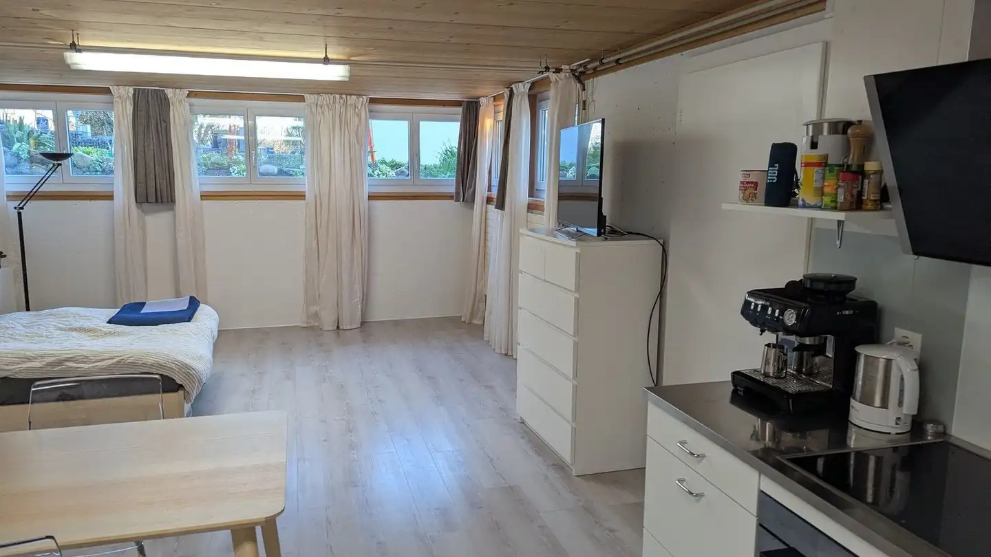 Appartamento ammobiliato in affitto - Rebenweg 31, 8610 Uster - Foto 3