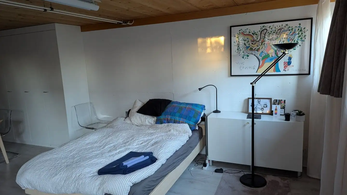 Appartamento ammobiliato in affitto - Rebenweg 31, 8610 Uster - Foto 4