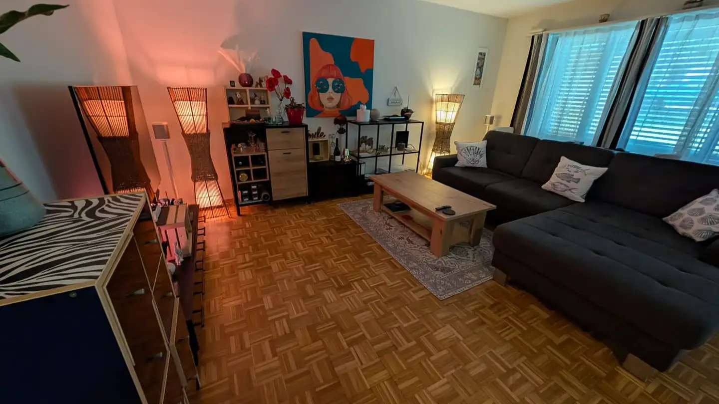 Appartamento in affitto - Burgstrasse 33, 8280 Kreuzlingen - Foto 4
