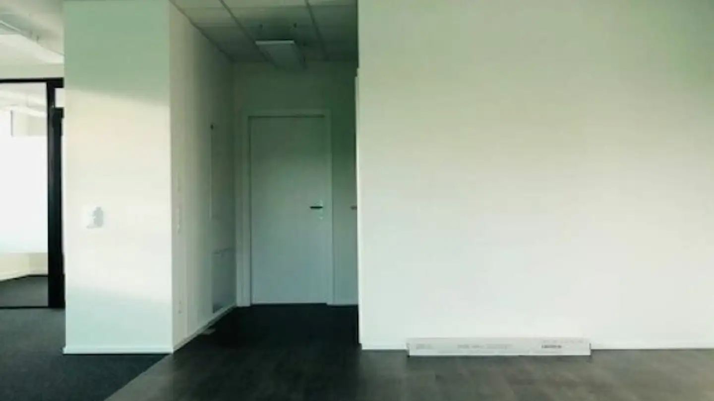 Negozio in affitto - Viaduc Milavy, 1580 Avenches - Foto 2