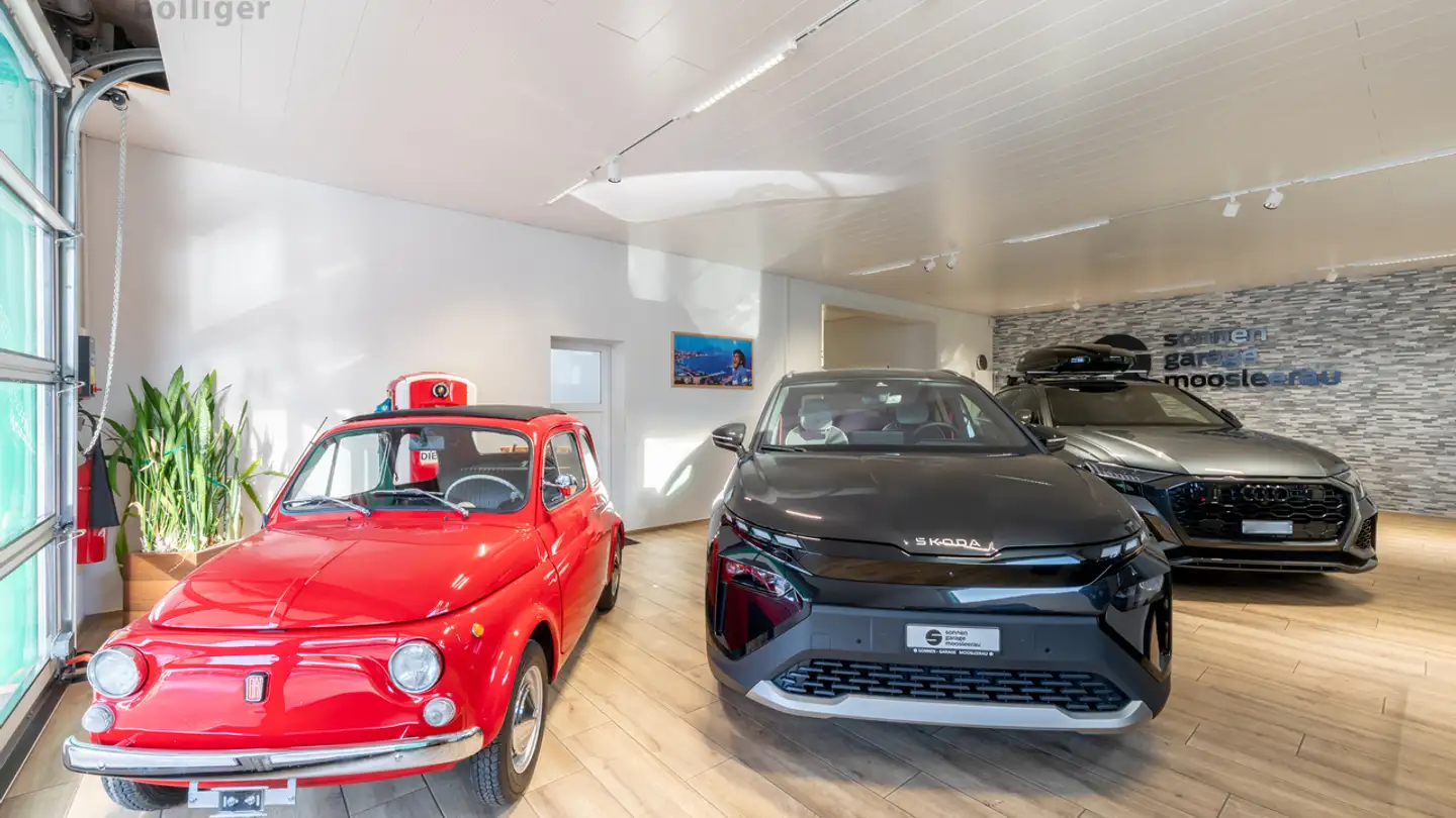 Commerciale in vendita - Luzernerstrasse, 5054 Moosleerau - Foto 2