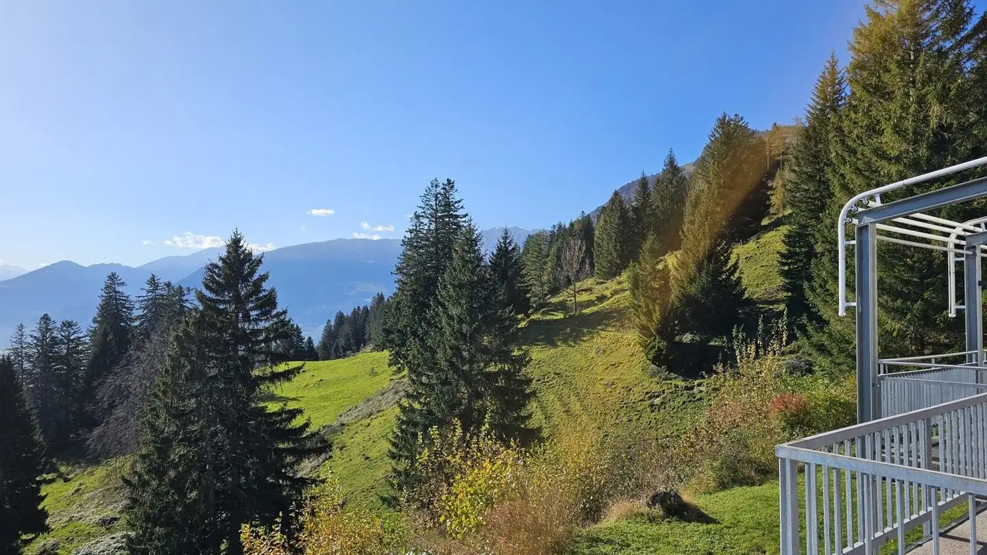 Edificio ad uso misto in vendita - 9479 Oberschan - Photo 3