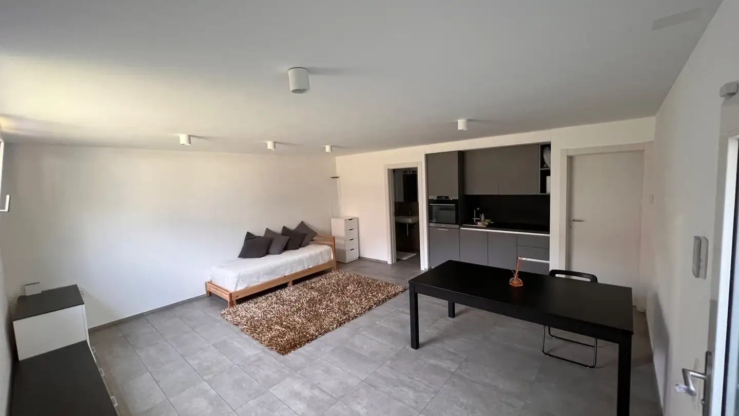 Appartement à louer - 6525 Gnosca