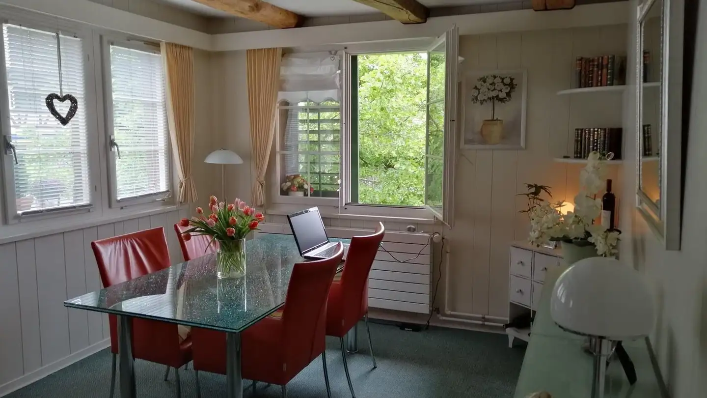 Attic flat for rent - Dorfstrasse 11, 8248 Uhwiesen