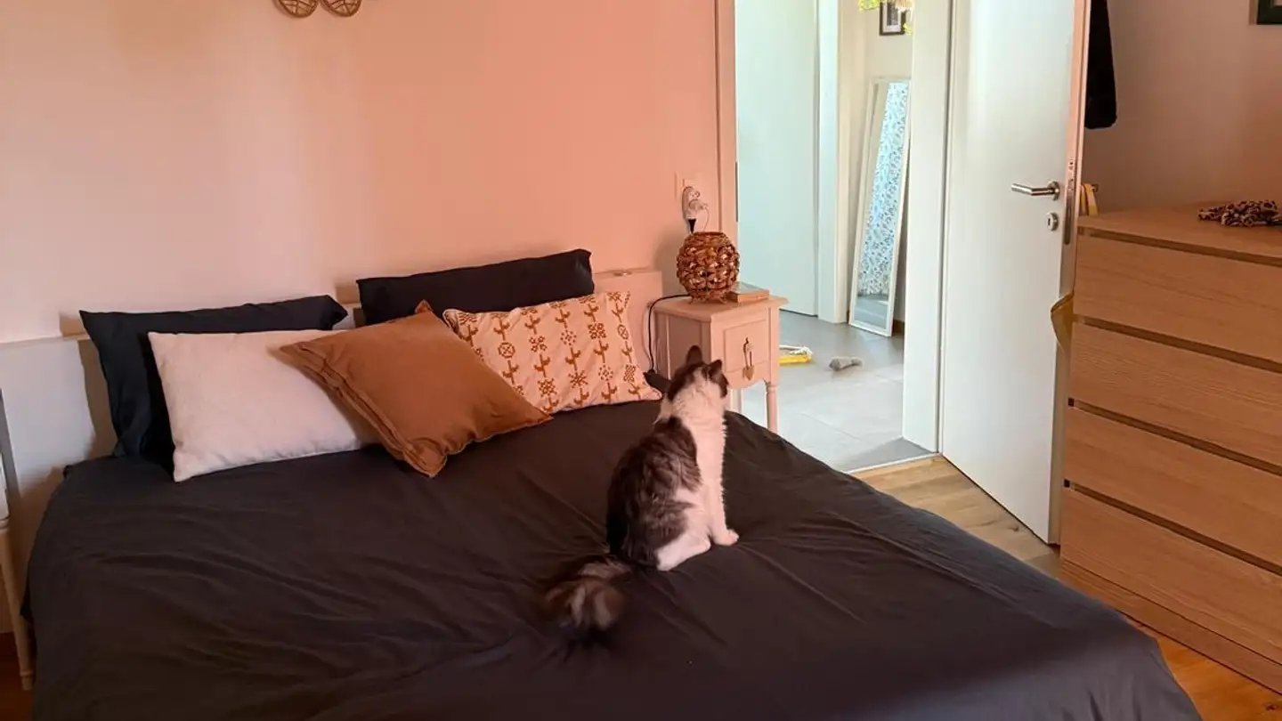 Appartamento in affitto - Chemin Du Raffort 2, 1536 Combremont-le-Petit - Photo 4