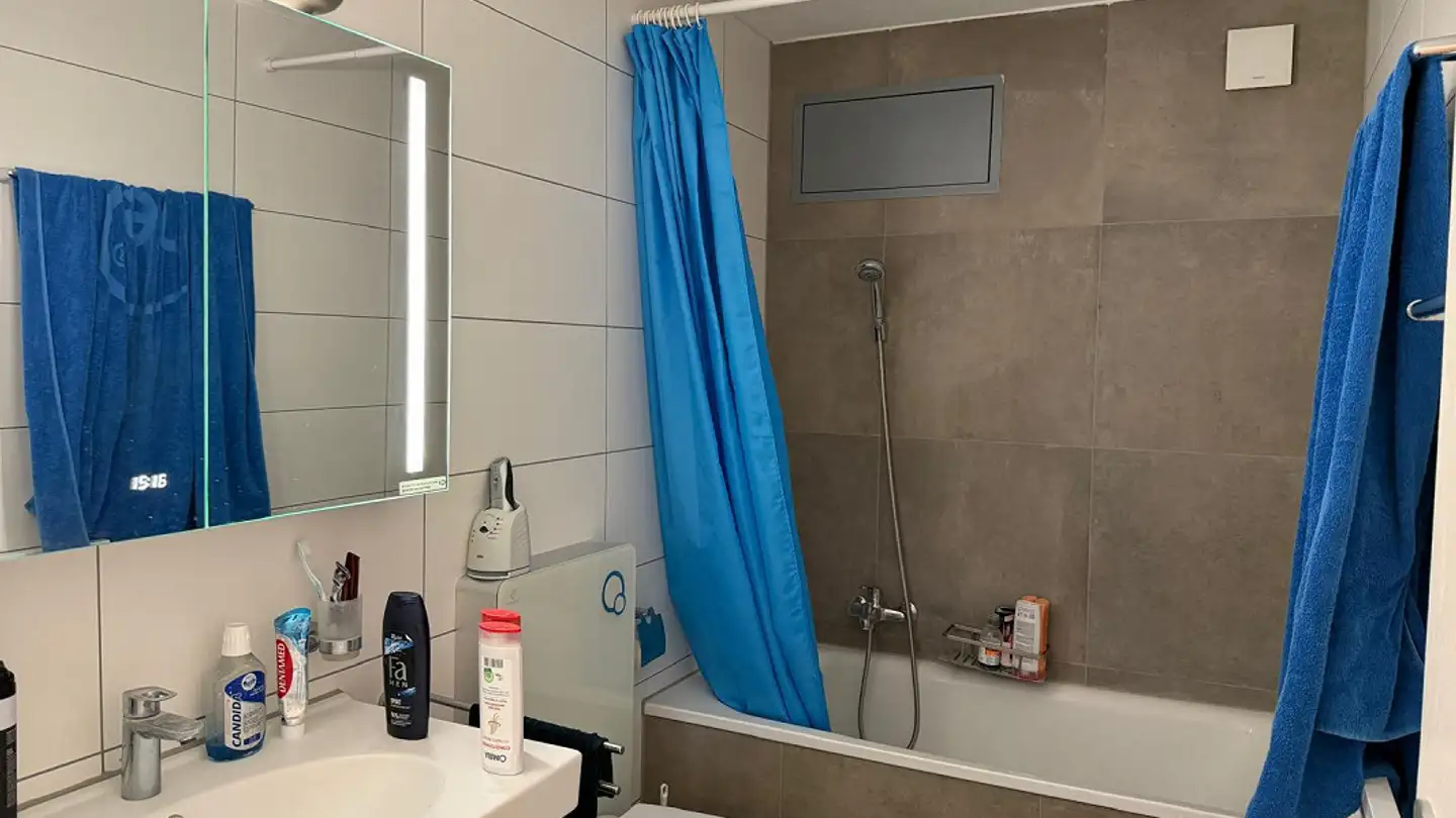 Appartamento in vendita - Dorfwisenstrasse 33, 8165 Schöfflisdorf - Foto 4
