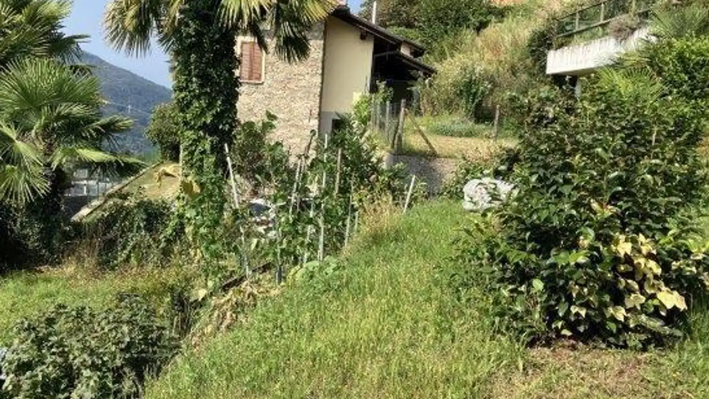 Constructible plot for sale - 6998 Monteggio - Photo 3