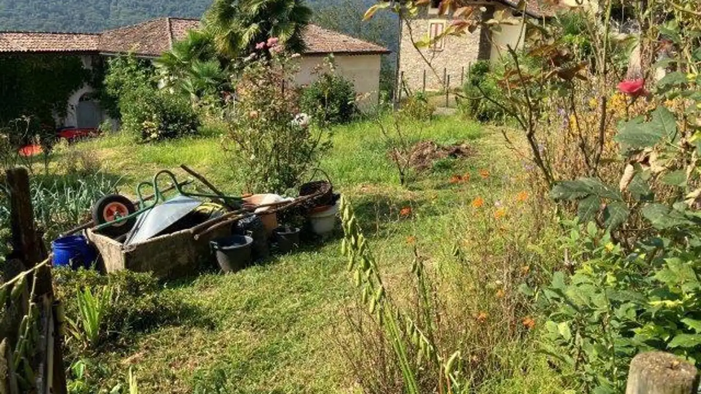 Constructible plot for sale - 6998 Monteggio - Photo 2
