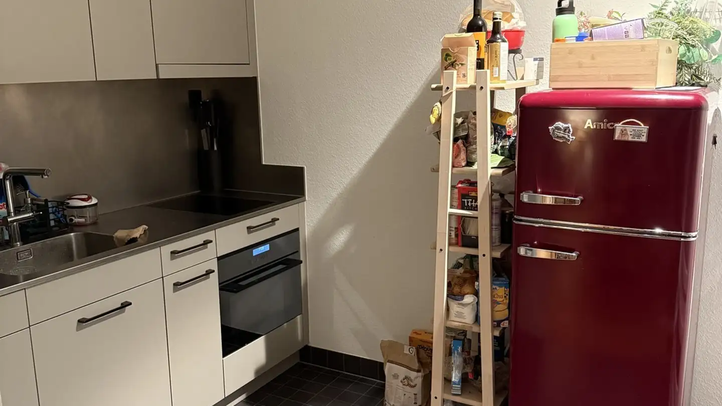 Appartamento in affitto - Wartauweg 19, 8049 Zürich - Foto 4