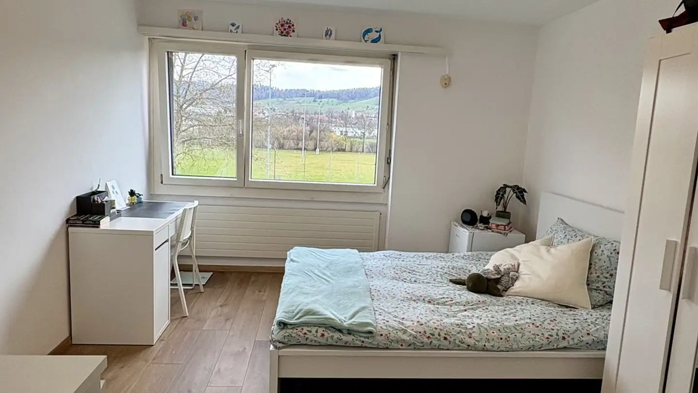 Single room for rent - 8952 Schlieren