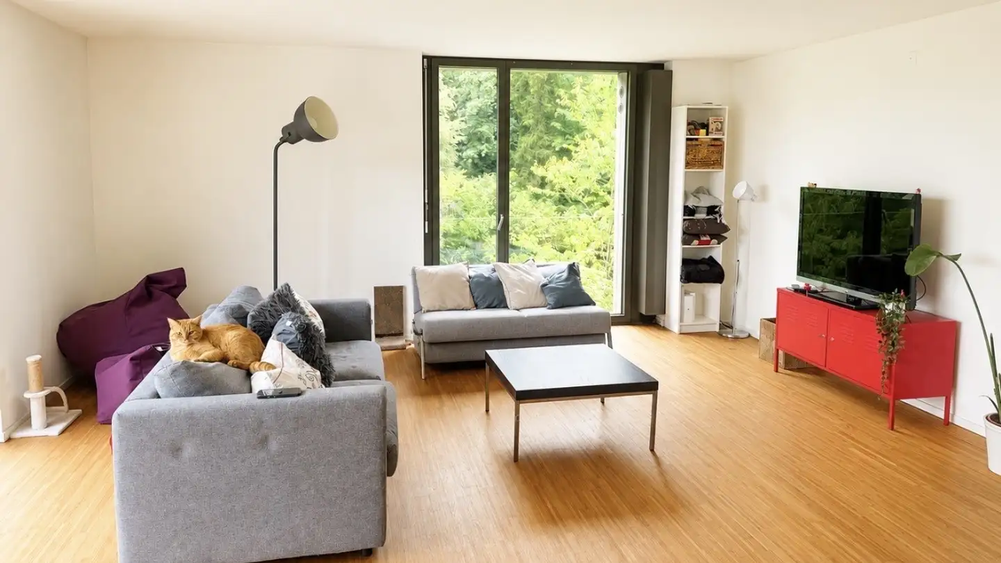 Chambre à louer - 8041 Zürich - Photo 4