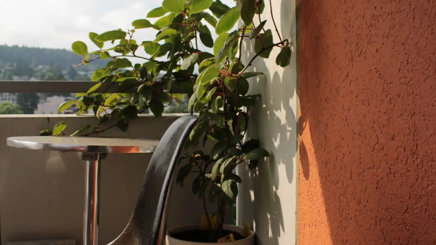 Single room for rent - 8952 Schlieren - Photo 3