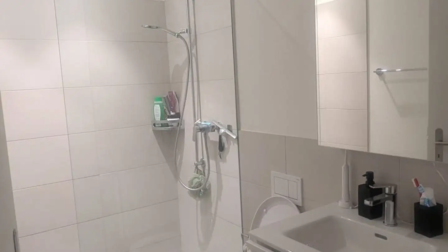 Apartment for rent - 6003 Luzern - Photo 4