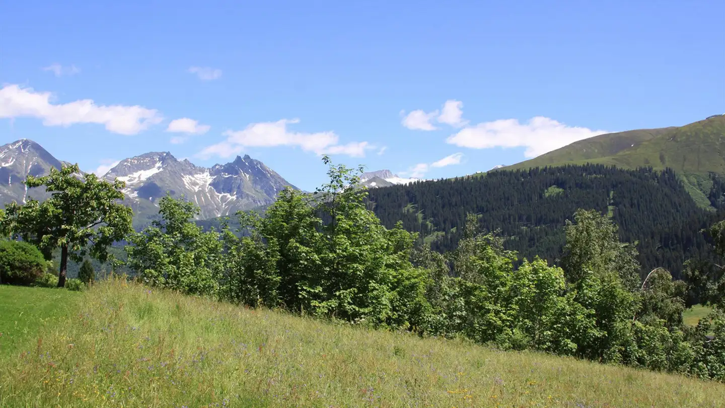 Constructible plot for sale - Via Curtin Niregl 21, 7188 Sedrun - Photo 4