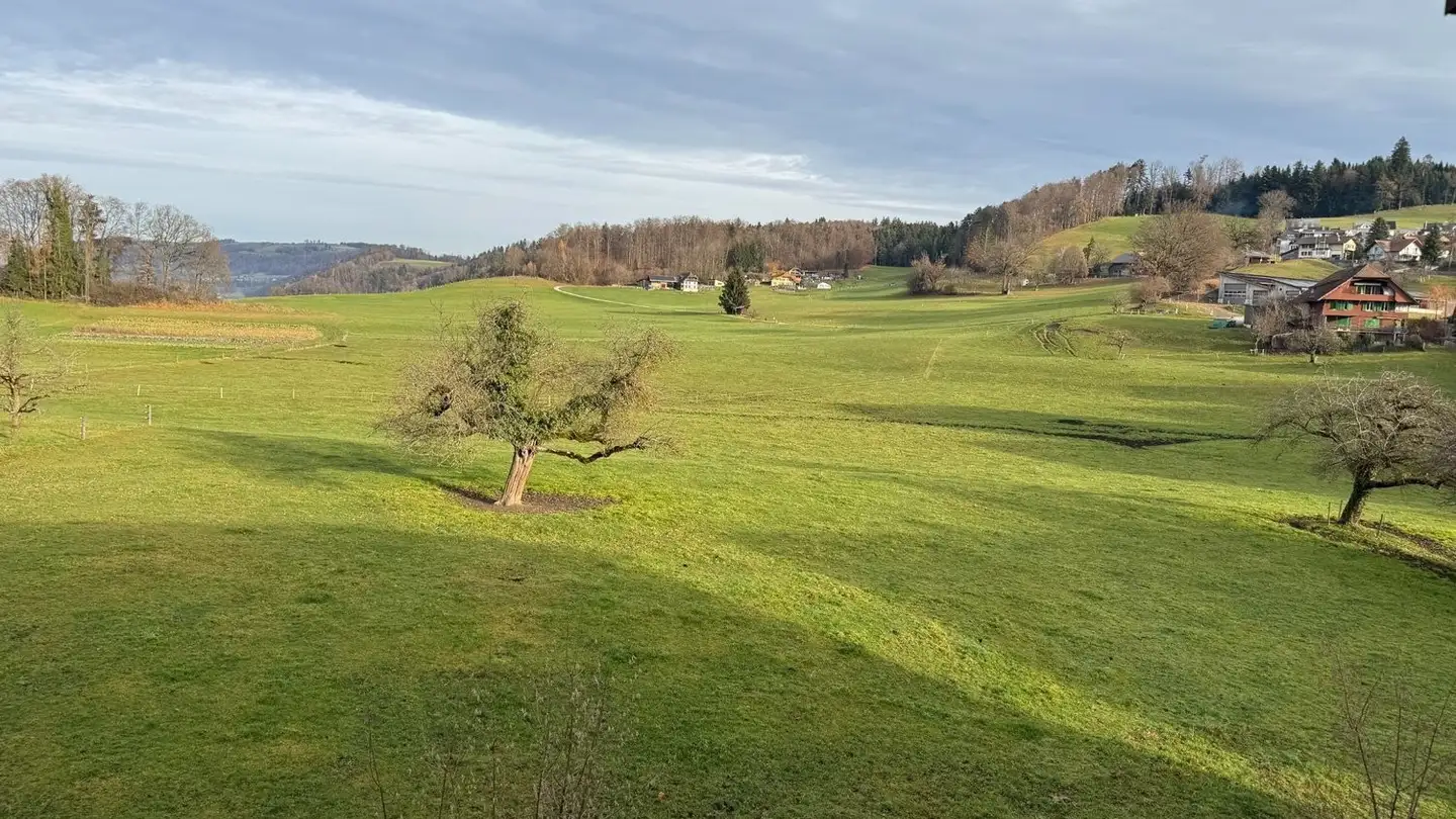 Appartamento in affitto - Grossenstein 3, 3662 Seftigen - Foto 2