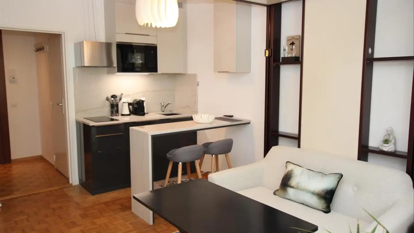 Appartement meublé à louer - Rue Robert- De-Traz 5, 1206 Genève