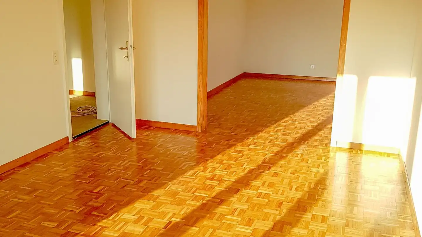 Appartamento in affitto - 4102 Binningen
