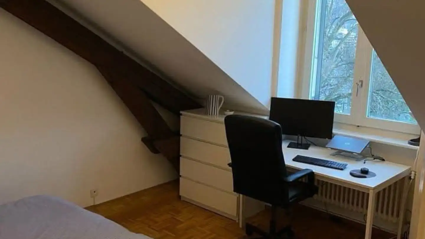 Single room for rent - Place Du Cirque 3, 1204 Genève - Photo 3