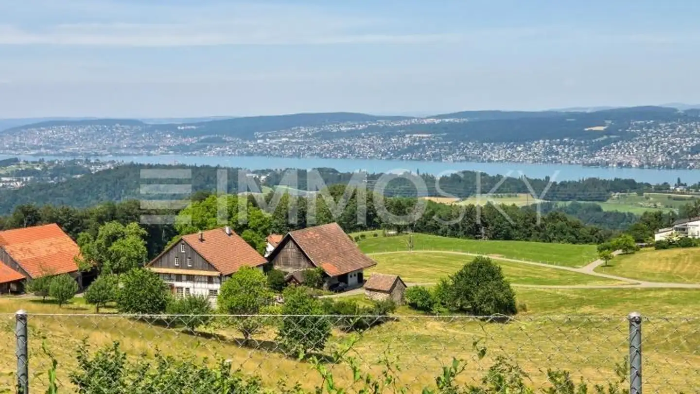 Residential building for sale - 8135 Langnau am Albis
