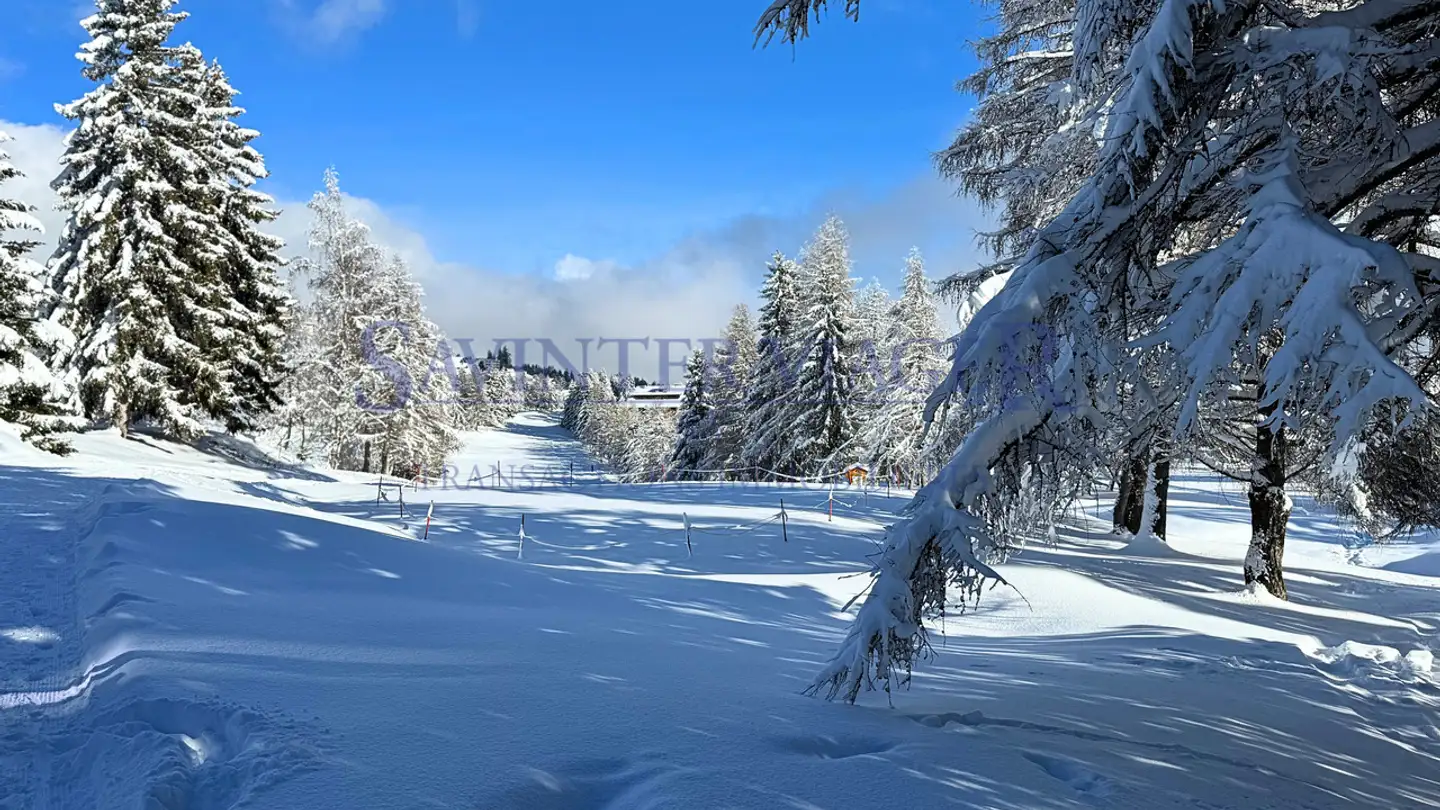 Apartment for sale - Route De Crans-Montana, 3963 Montana