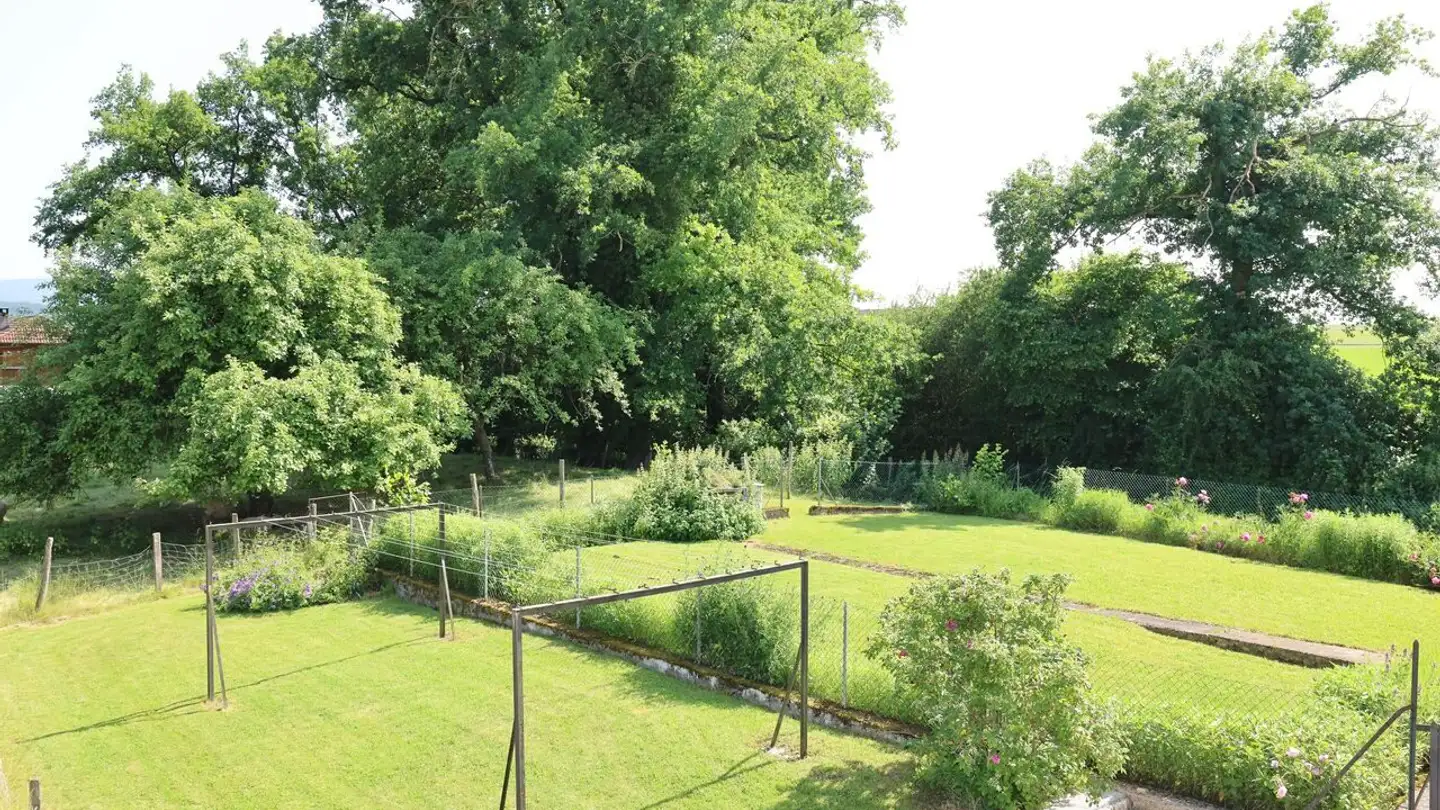 Gewerbe kaufen - 2944 Bonfol - Foto 4