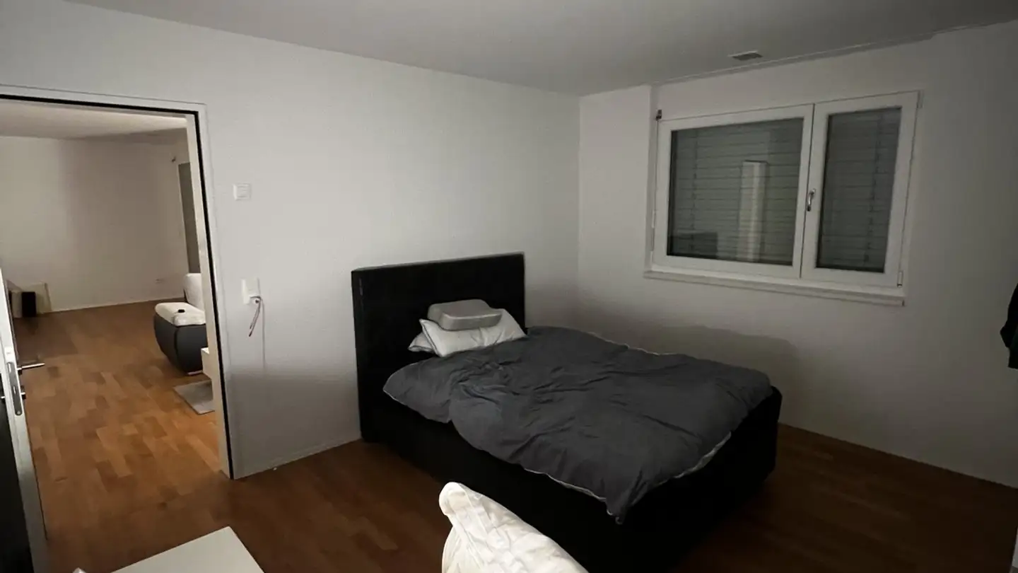 Wohnung mieten - Ländernachstrasse 56, 9443 Widnau - Foto 4