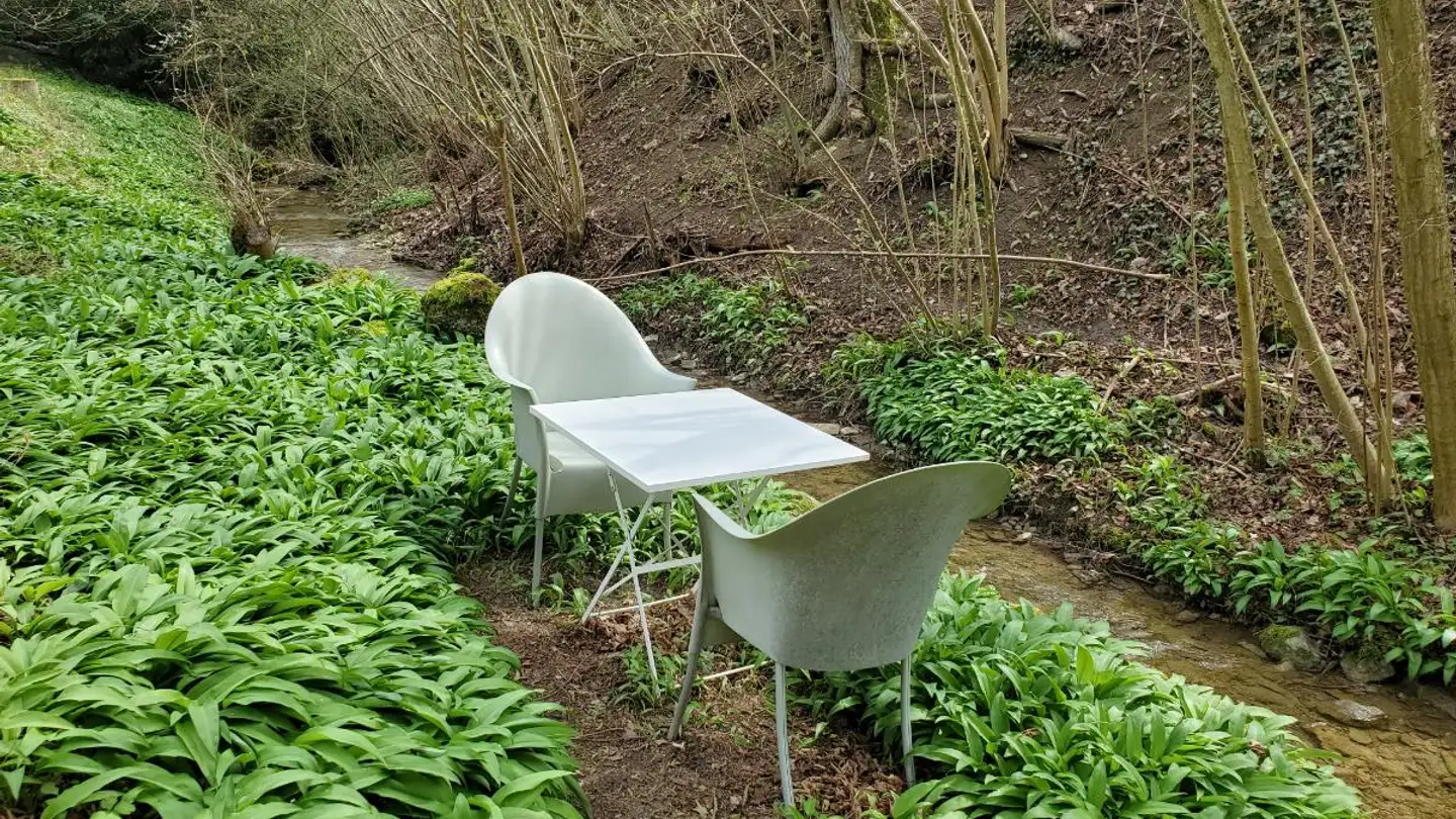 Casa singola in vendita - Waldbachweg 3c, 5024 Küttigen - Foto 2