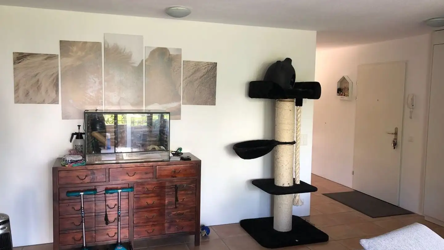 Appartamento in affitto - Zürcherstrasse 9, 8115 Hüttikon - Foto 3