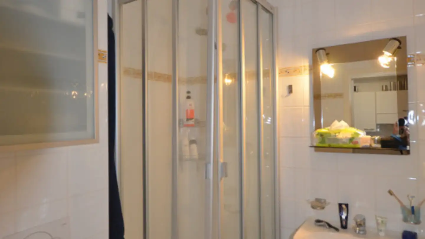 Wohnung kaufen - 1228 Plan-les-Ouates - Foto 4