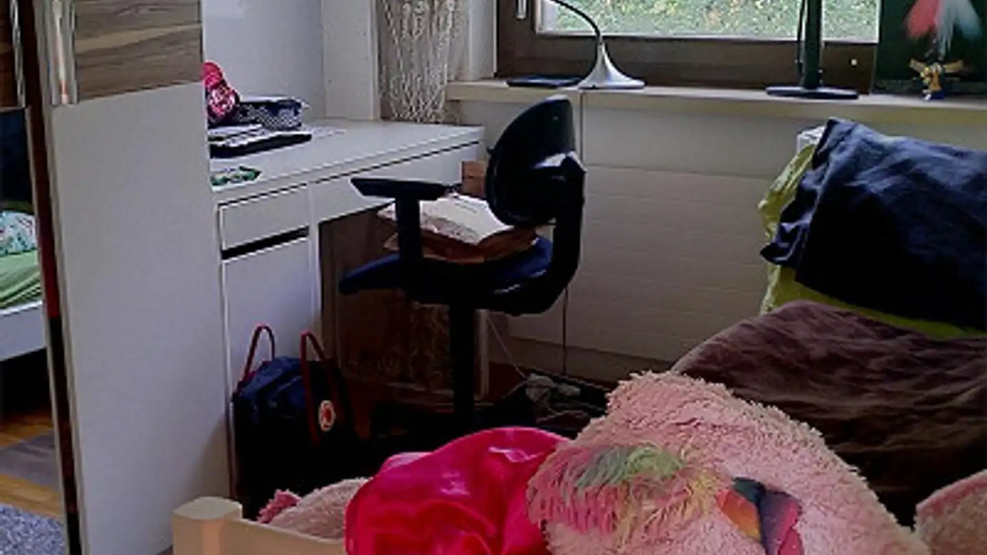 Attico in affitto - Hardstrasse 30, 4127 Birsfelden - Foto 3