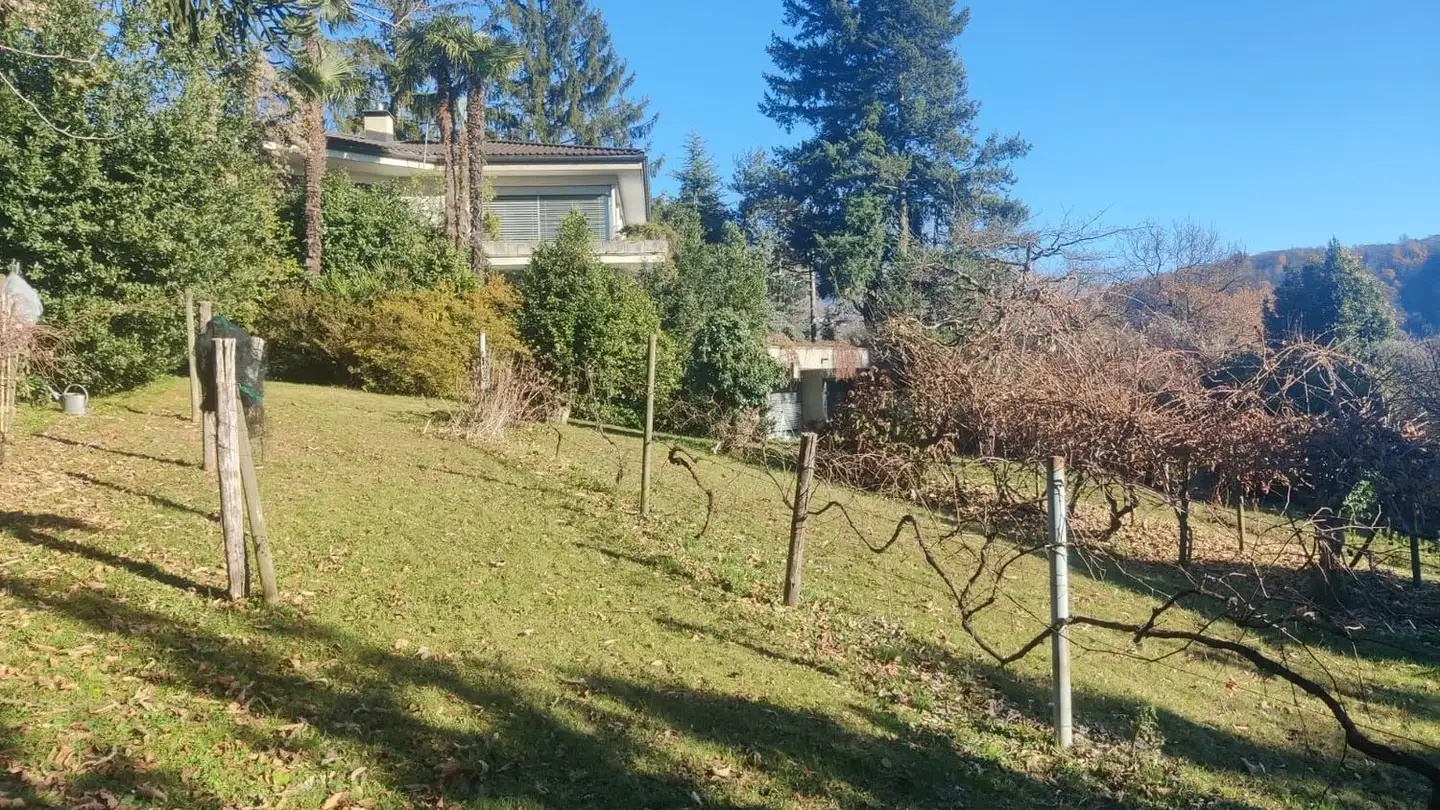 Constructible plot for sale - 6930 Bedano - Photo 3