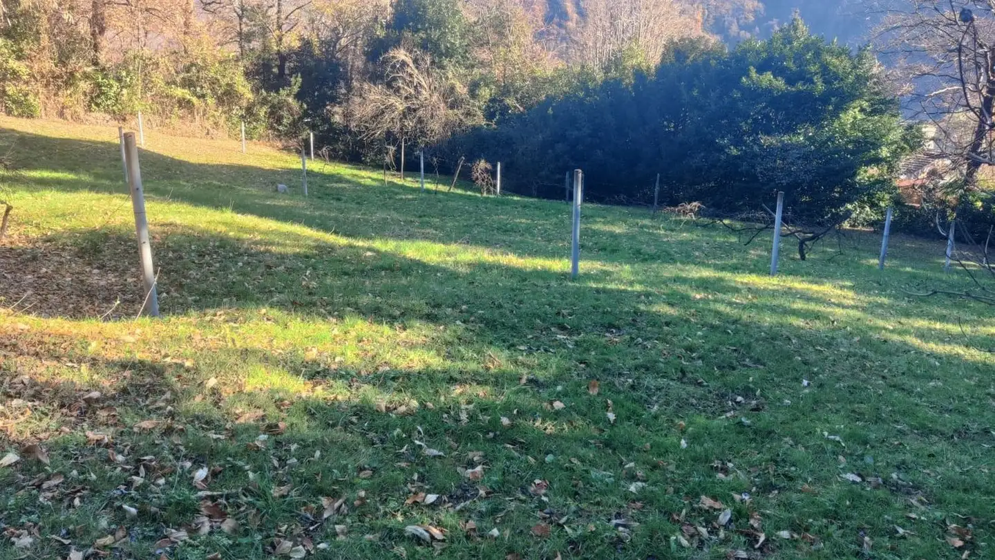 Constructible plot for sale - 6930 Bedano - Photo 4