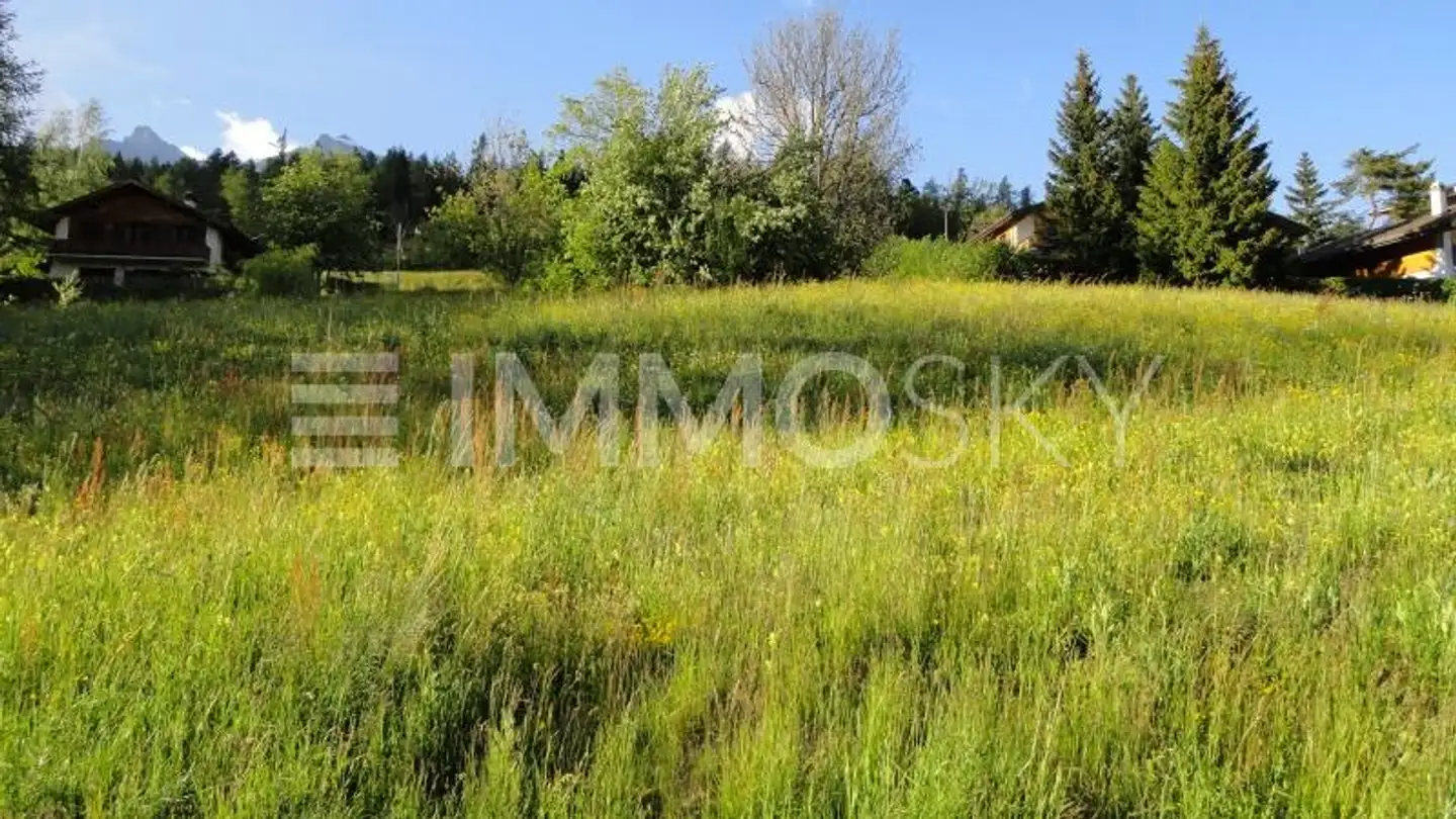 Property for sale - 1911 Ovronnaz - Photo 3