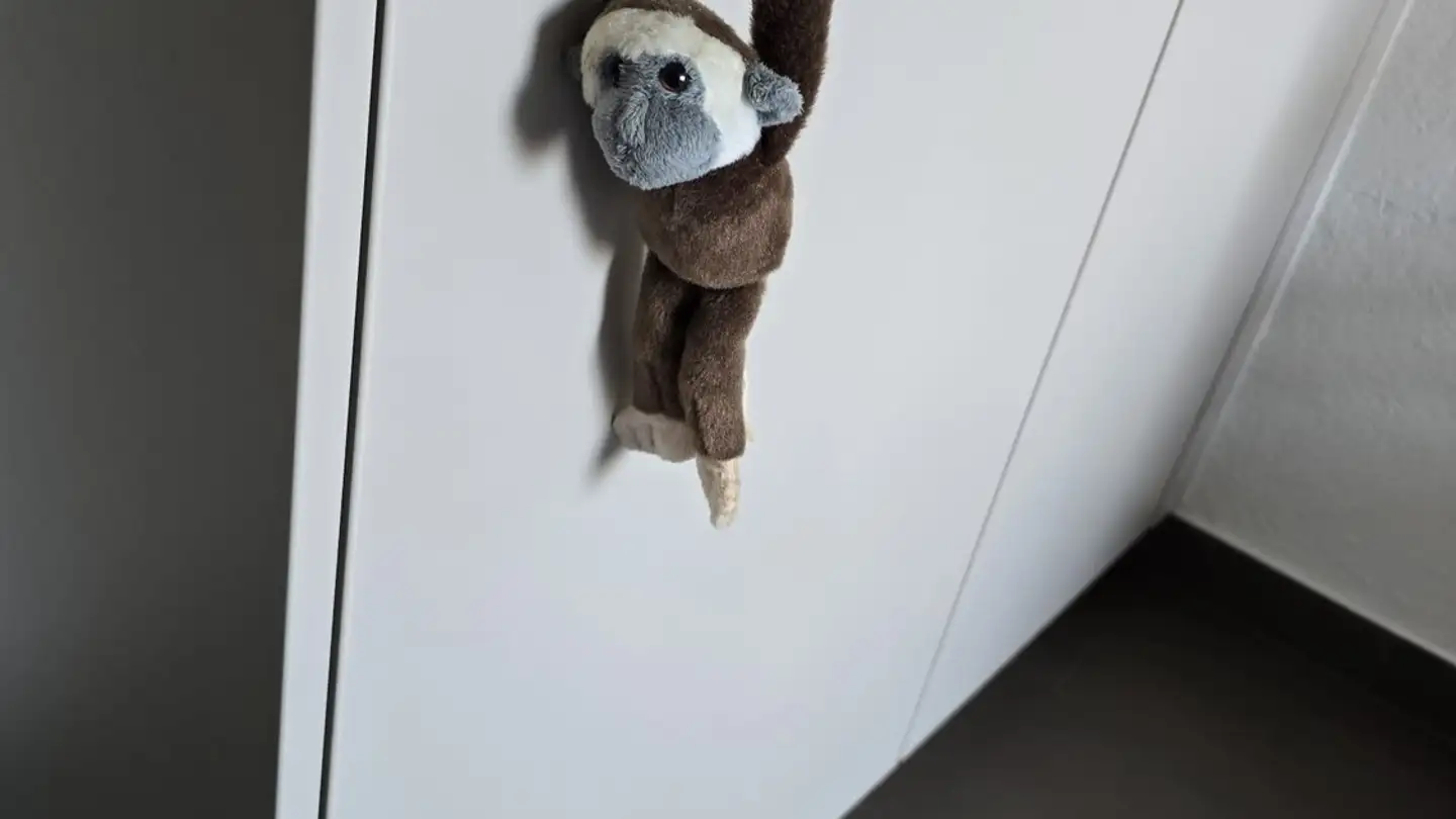 Chambre à louer - Hohlstrasse 210, 8004 Zürich - Photo 2