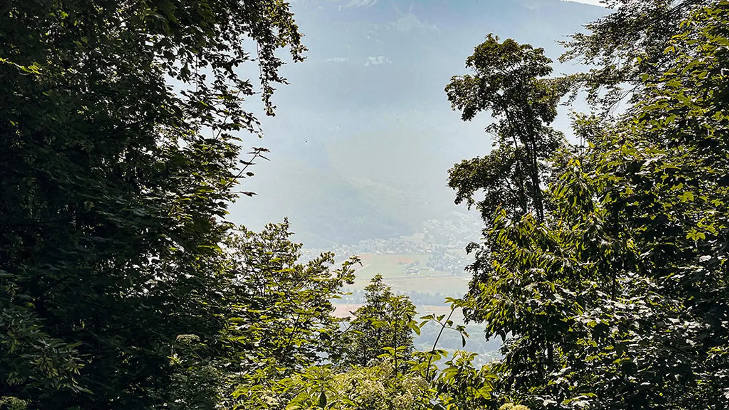 Casa bifamiliare in vendita - 1867 Panex - Foto 3