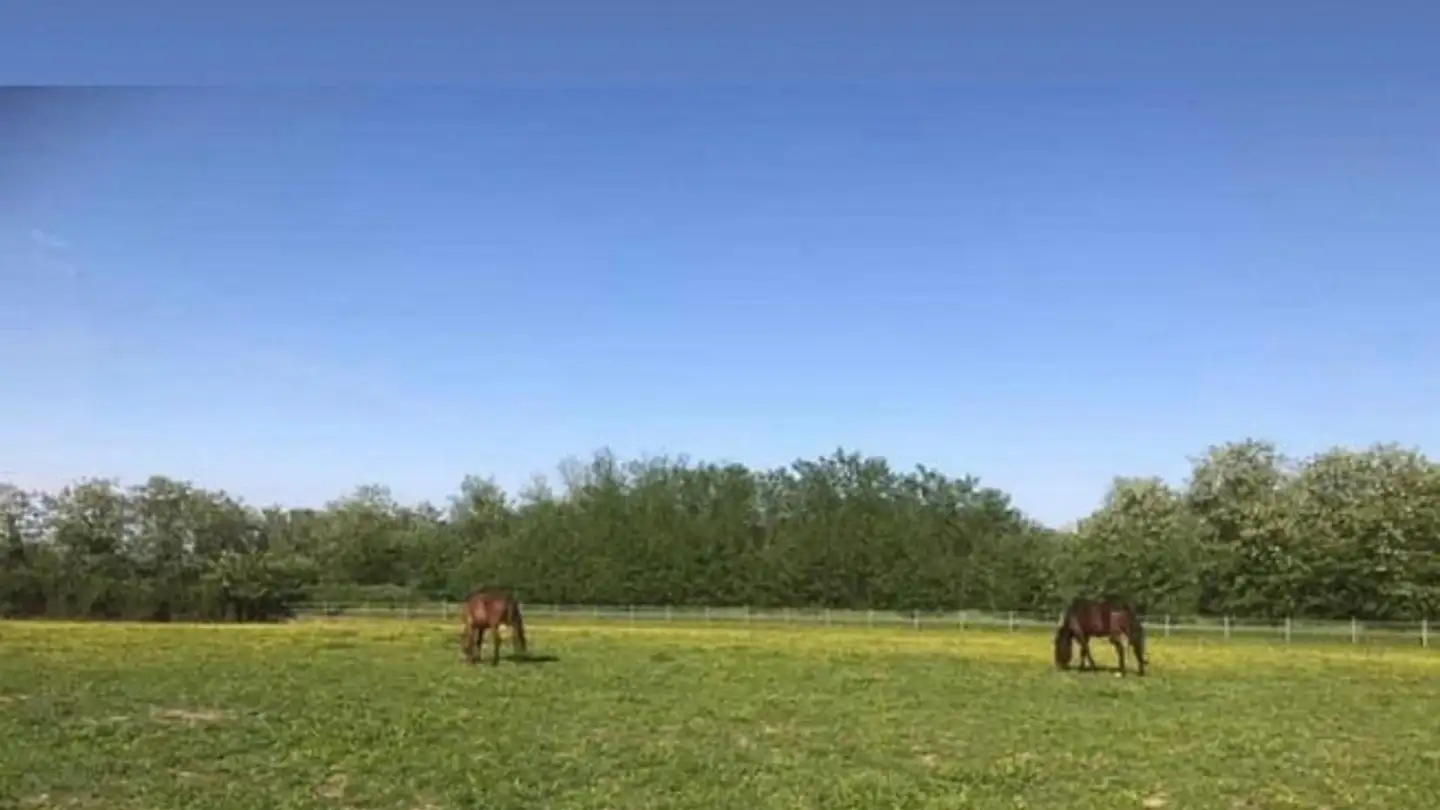 Immobile in vendita - 6900 Lugano - Photo 4