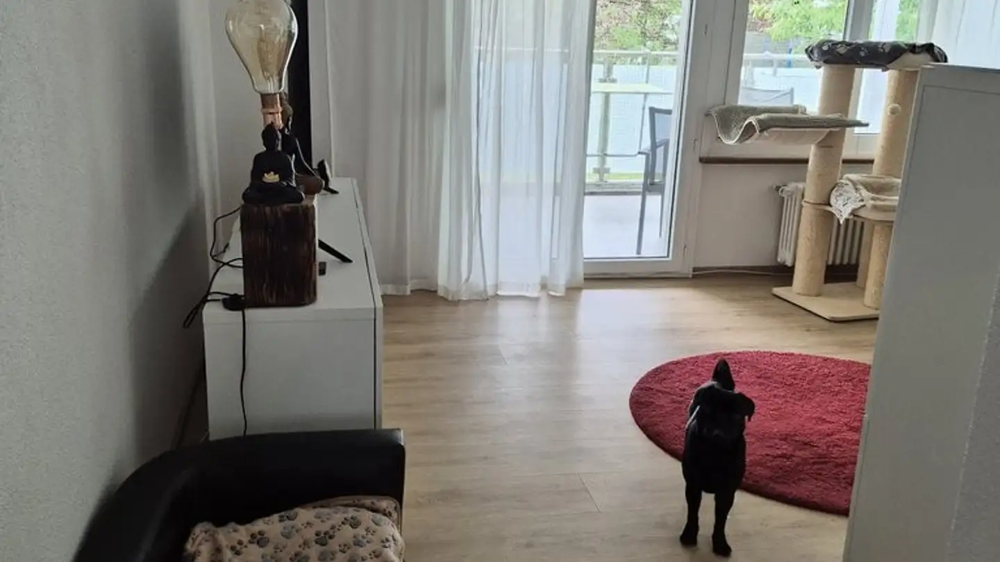 Appartement à louer - Feldegg 19, 3250 Lyss - Photo 2