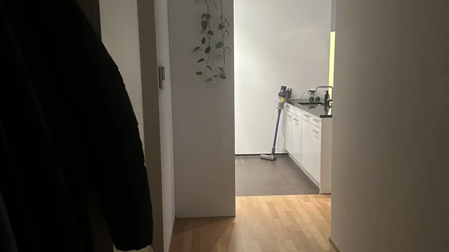 Wohnung mieten - Bireggstrasse 17, 6003 Luzern - Foto 2