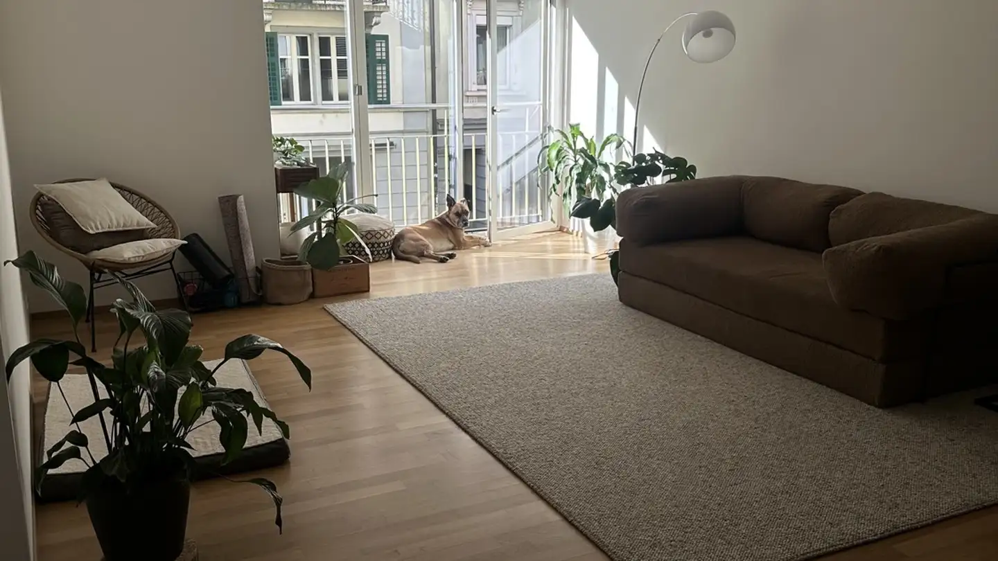 Wohnung mieten - Bireggstrasse 17, 6003 Luzern - Foto 4