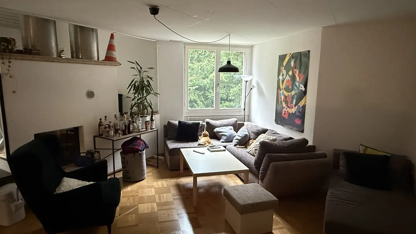 Stanza singola in affitto - 8400 Winterthur - Foto 3