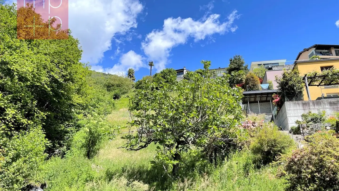 Constructible plot for sale - 6646 Contra - Photo 3