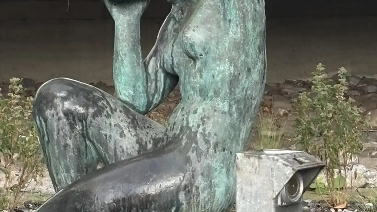 Wohnung kaufen - 1815 Clarens - Foto 4